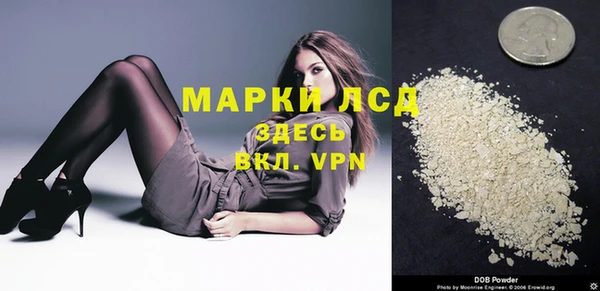 индика Магадан