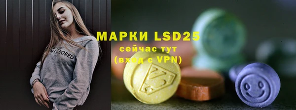 прущие грибы Струнино