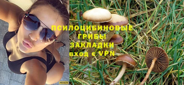 apvp Майский